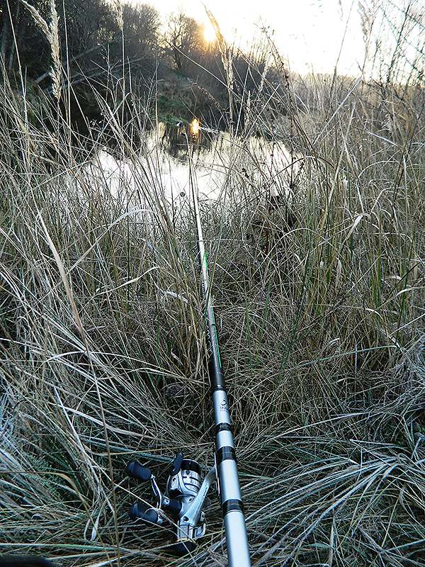 Болонское удилище с катушкой среди сухой травы
