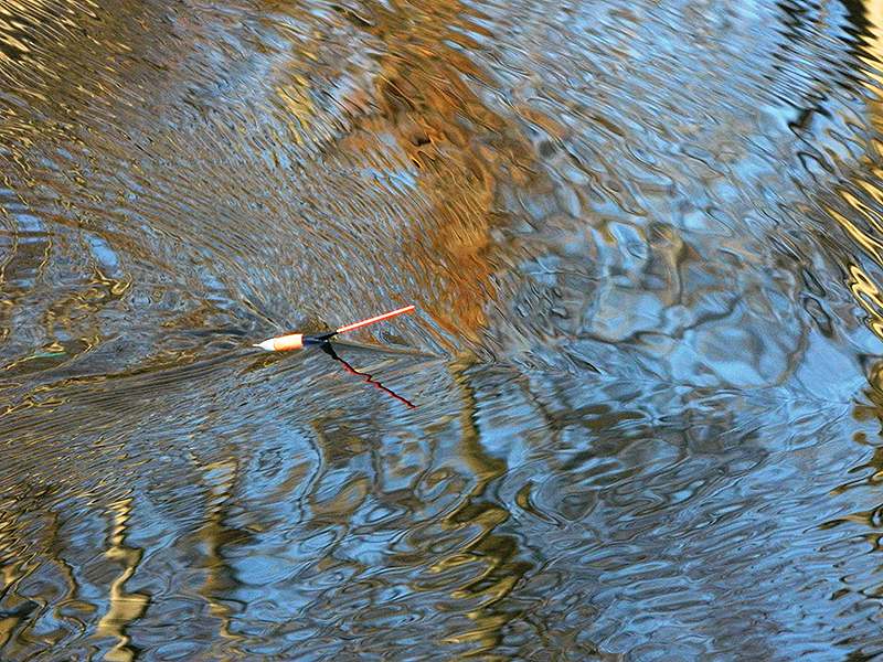 Поплавок в воде