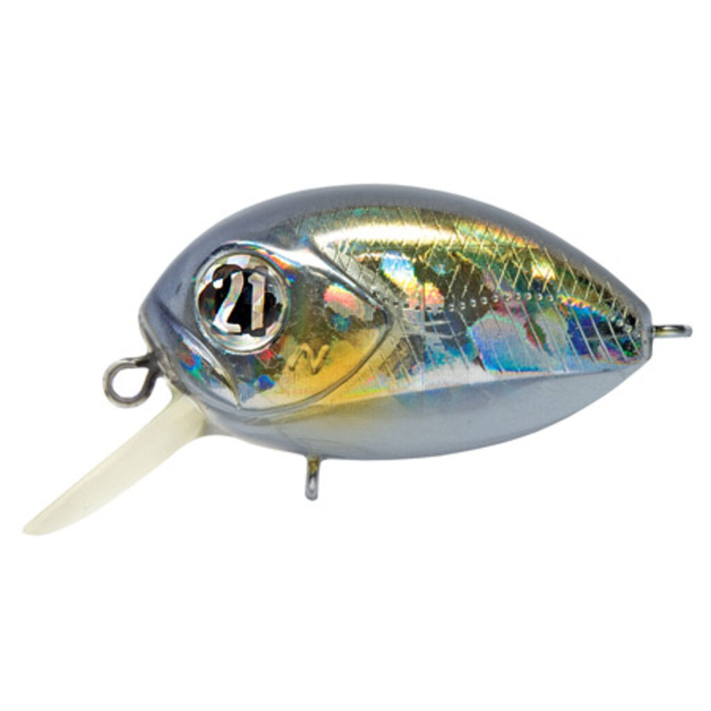 Pontoon 21 RED RAG 36F-SR