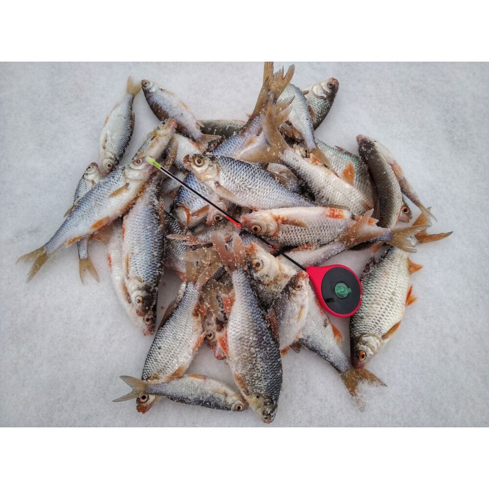 Удочка-балалайка зим. Salmo HANDY ICE ROD 24.3см красн. Удочка-балалайка зим. Salmo HANDY ICE ROD 24.3см красн.