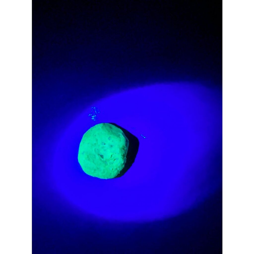 Тесто готовое для рыбалки в баночке Lion Baits 