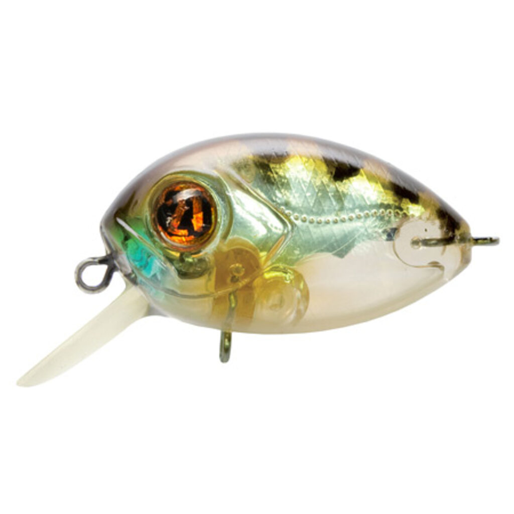 Pontoon 21 RED RAG 36F-SR