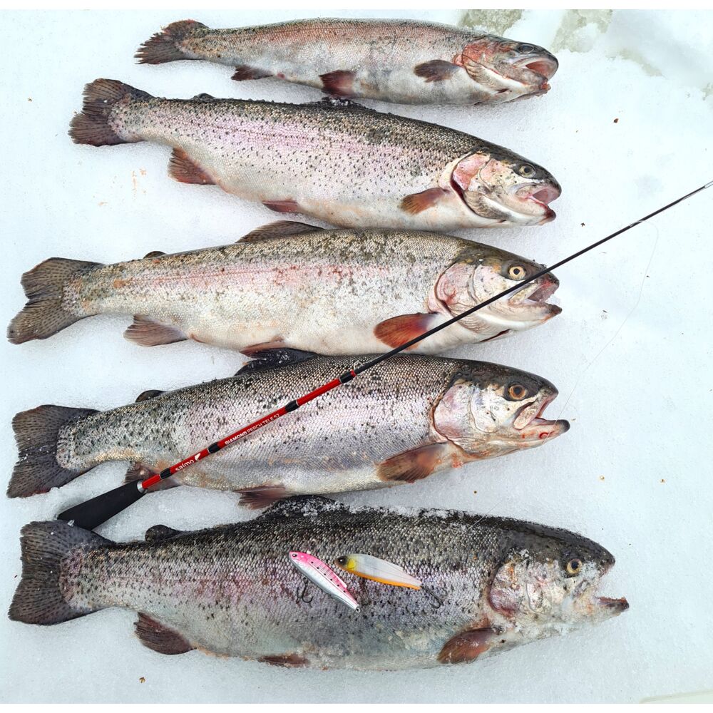 Удилище телеск. зим. Salmo Diamond PERCH TELE 50см Удилище телеск. зим. Salmo Diamond PERCH TELE 50см