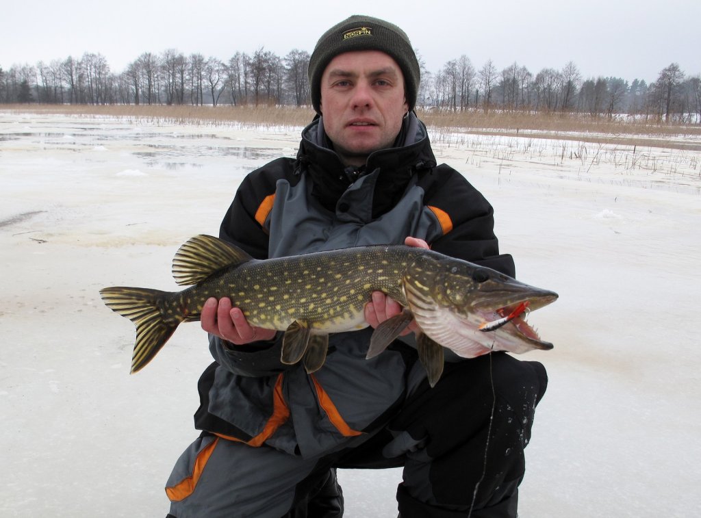 Валерий Сикиржицкий с балансирной щукой Валерий Сикиржицкий с балансирной щукой