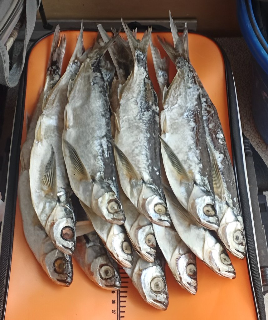 Вяленая рыба Вяленая чехонь