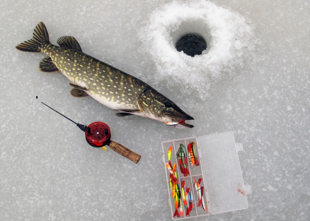 Щука, удочка и балансиры