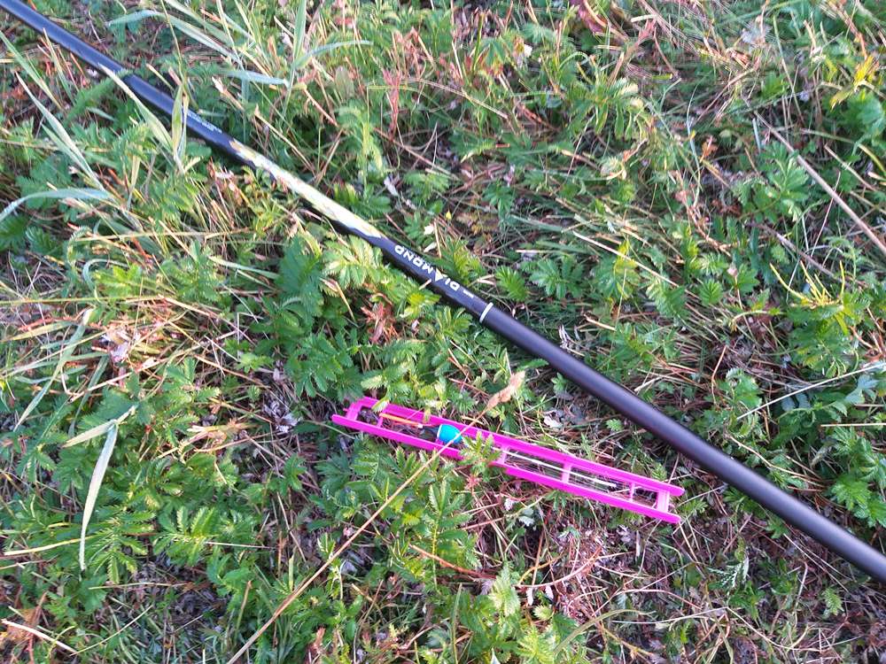 карась на каналах 0007.JPG