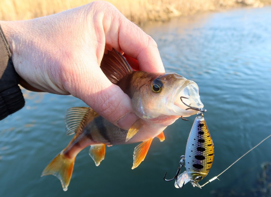 Воблер и его улов