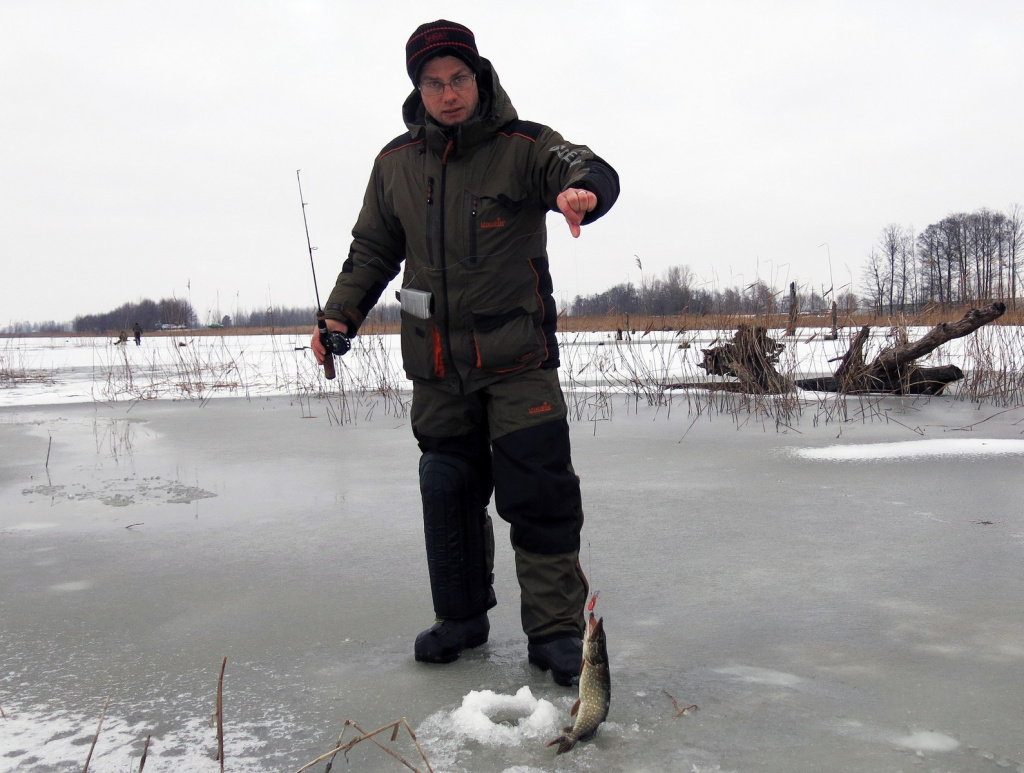 Техника ловли щуки на балансиры