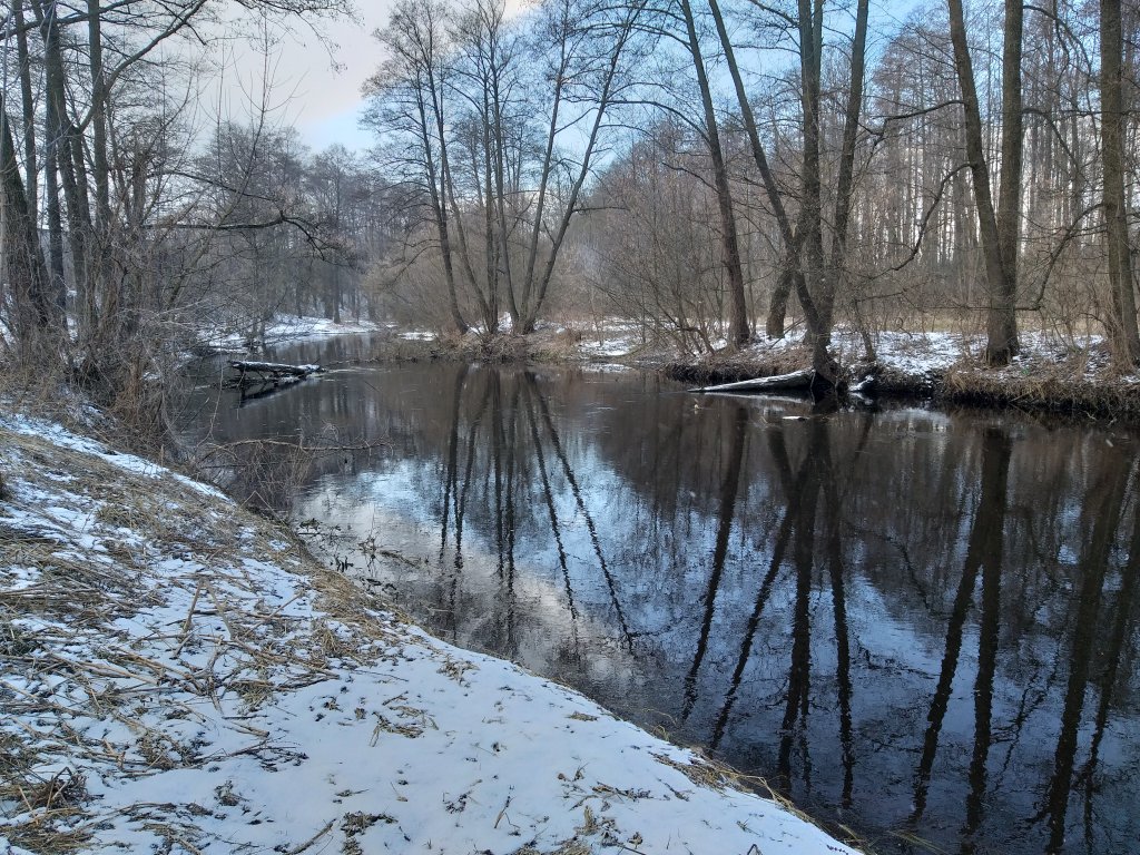 Маленькая река весной Маленькая река весной