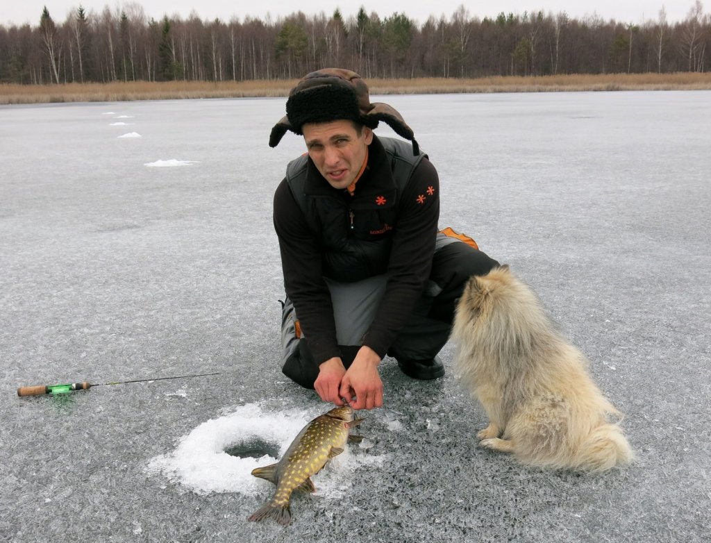 Рыболов на льду со щукой и собакой
