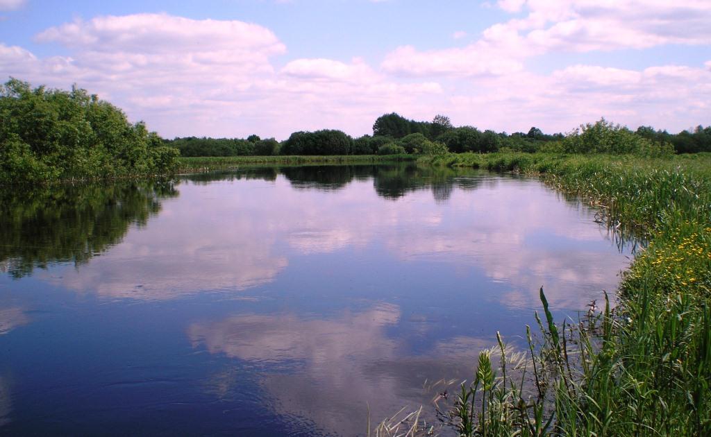 Рыбалка выходного дня_5.JPG