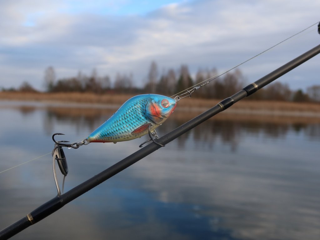 Salmo Slider на фоне