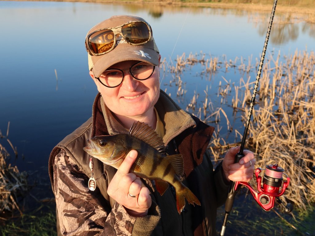 Рыбачка поймала окуня на вертушку