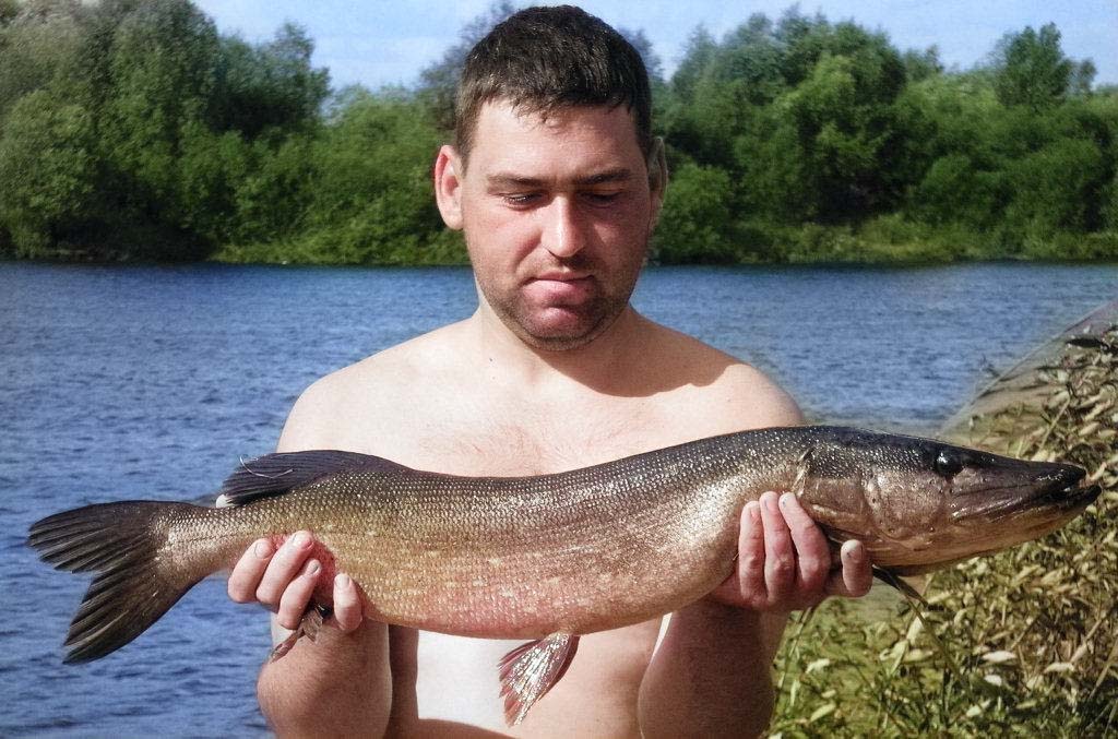 как доловить щуку (2).jpg