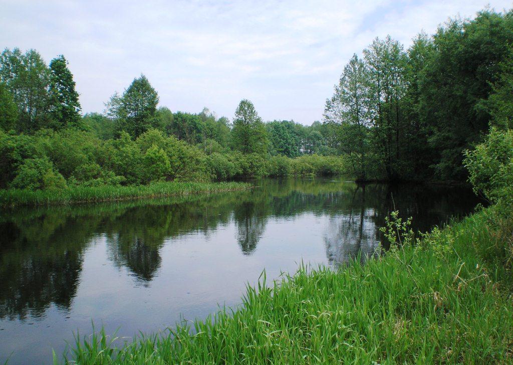 Рыбалка выходного дня_1.JPG