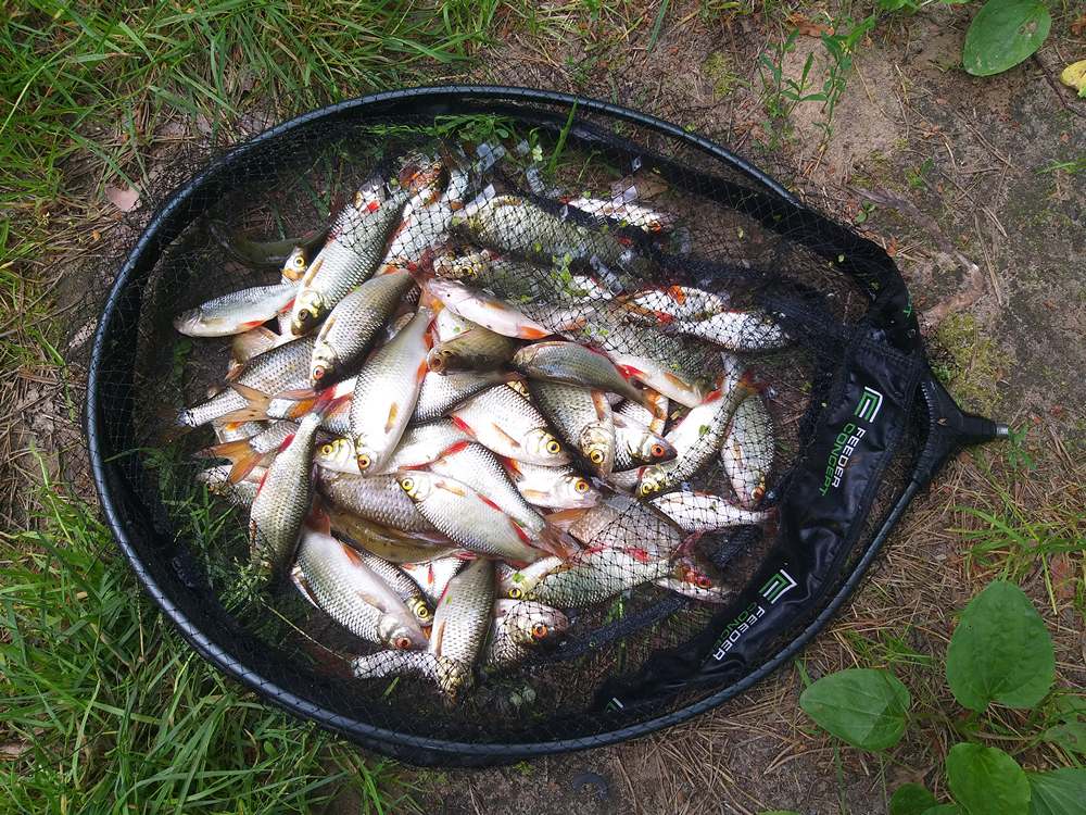 душевная рыбака с маховой удочкой 0009.JPG