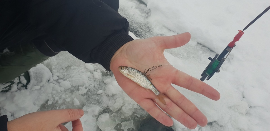 жерлицы для новичка 00008.JPG