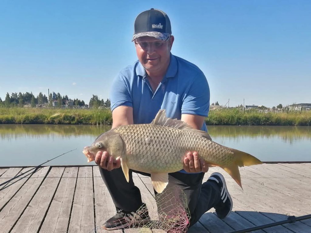 Удачная рыбалка – трофейный карп, пойманный на водоеме Рыбак в синей рубашке и кепке держит крупного карпа на фоне водоема.