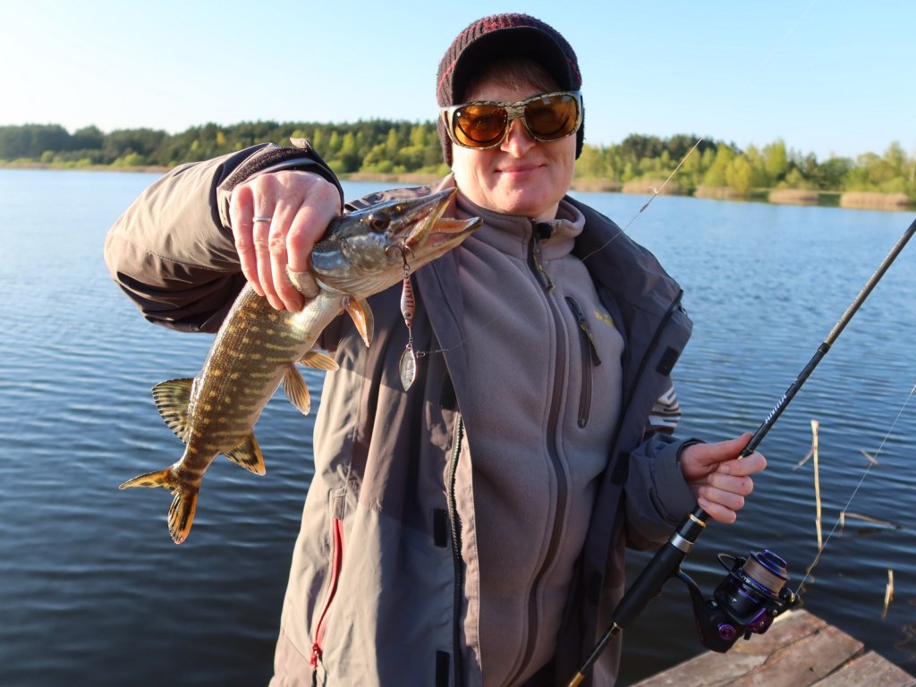 Щука клюнула на утяжелённую вертушку