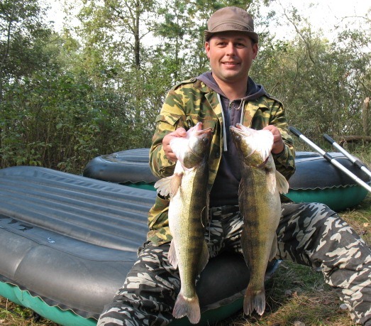 Рыбак держит двух судаков
