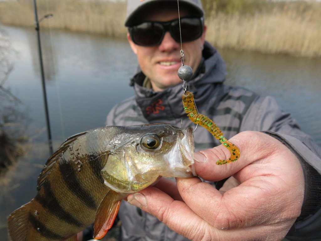 Окунь пойман на оснастку с офсетным крючком