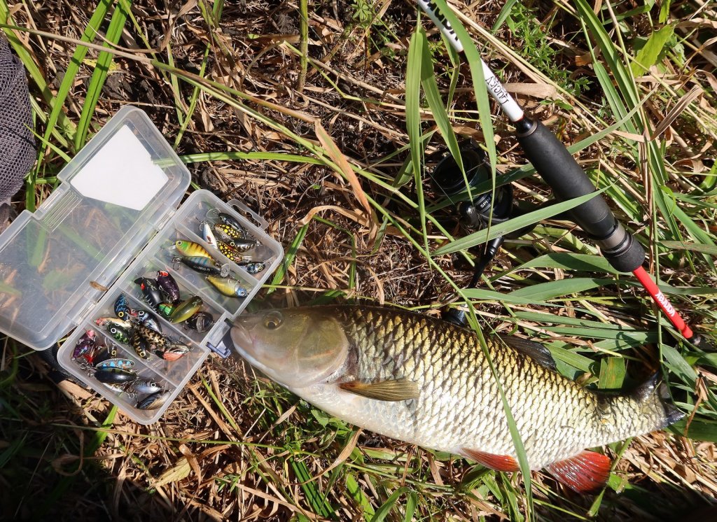 Голавль и коробка с воблерами