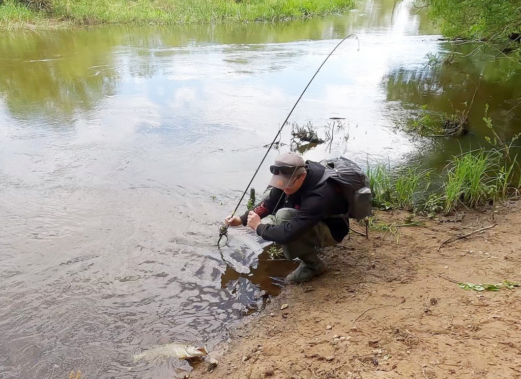 Щука почти на берегу Щука почти на берегу