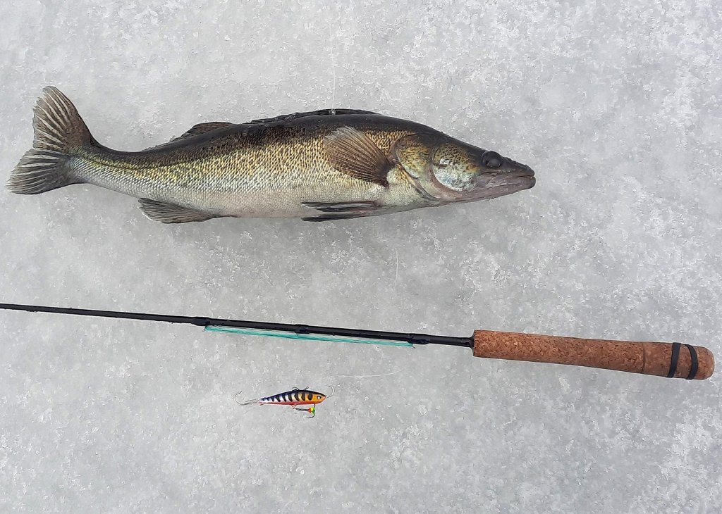 Судак с зимней удочкой на льду