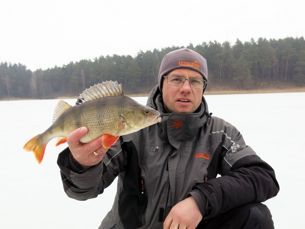 Валерий Сикиржицкий с крупным окунем зимой