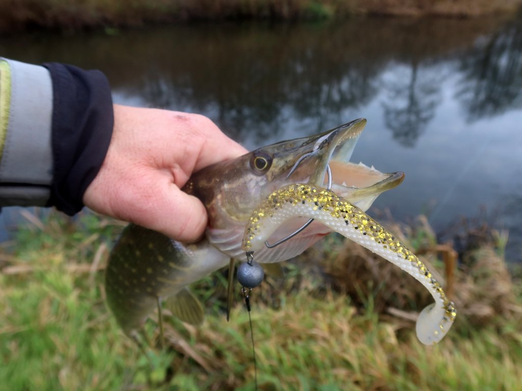 Щука засеклась на офсетный крючок