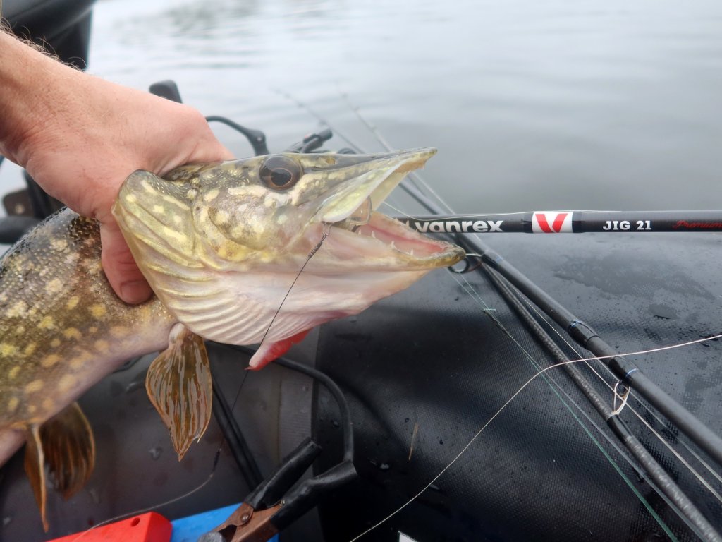 Щука и спиннинг в лодке