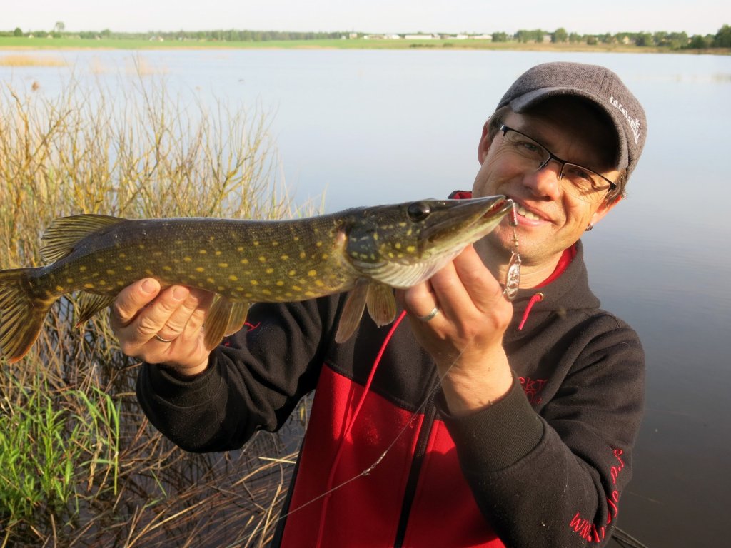 Валерий Сикиржицкий с весенней щукой, пойманной на вертушку