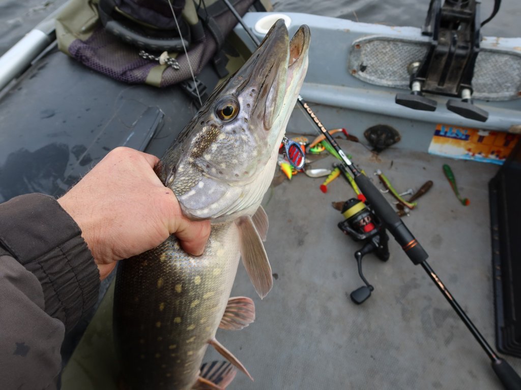 Щука ловится с лодки