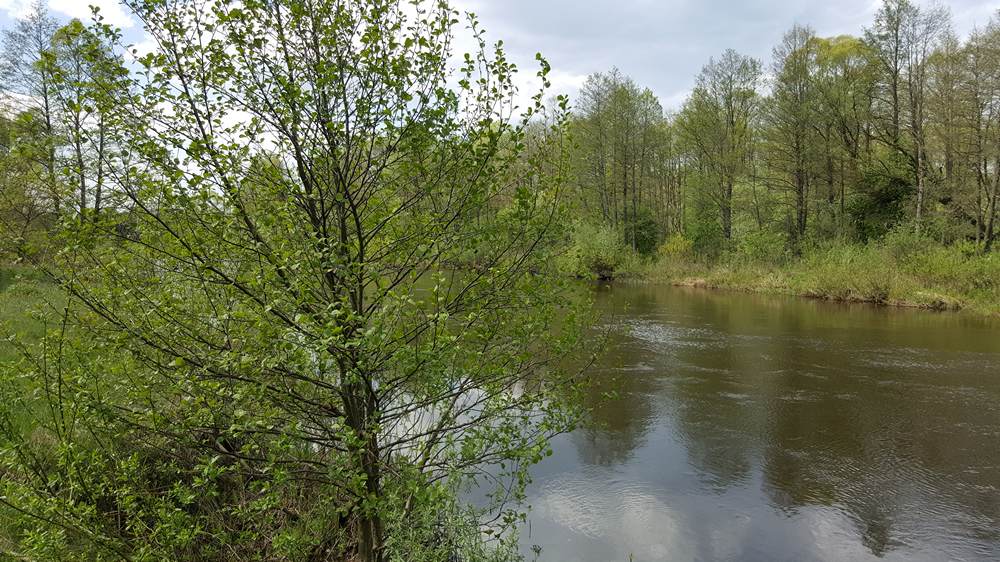 Река Течение реки