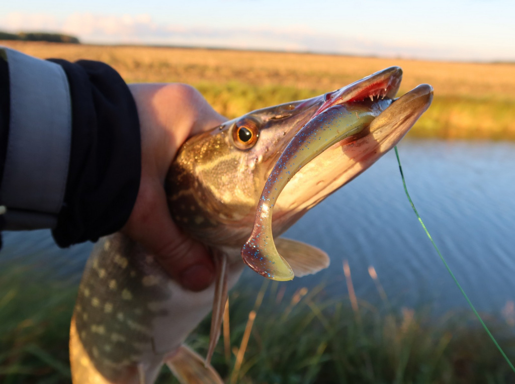 Lucky John Slim Shaker – лучшая приманка сезона