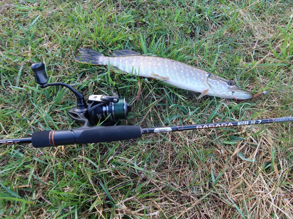 Щука и микроджиговая снасть