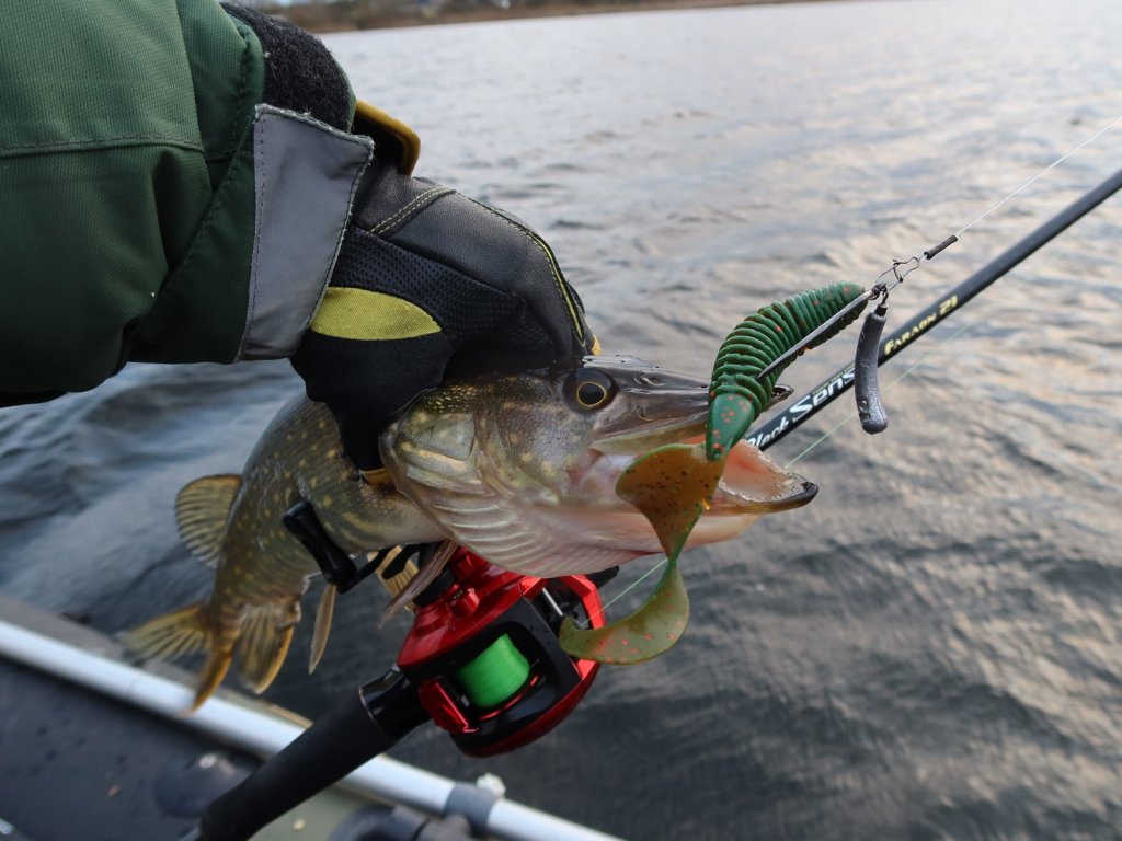 Щука, твистер и кастинг