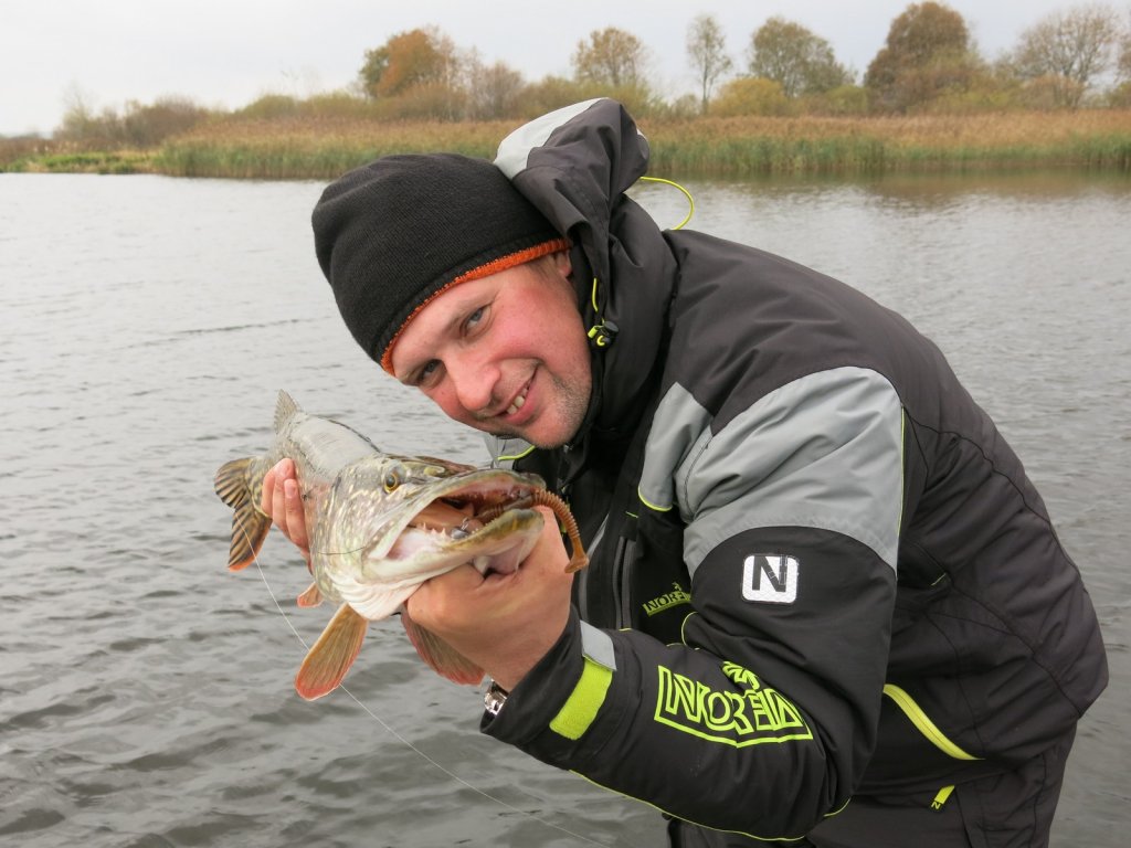 Спиннингист показывает щуку