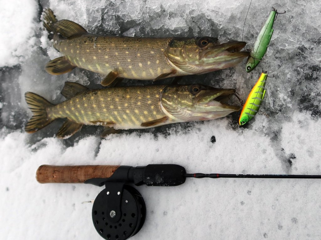 Две щуки пойманы на вибы