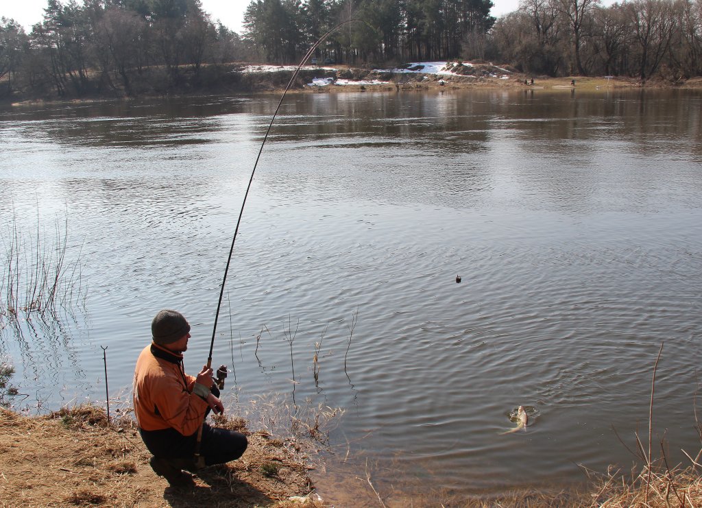 Вываживание леща на фидер ранней весной