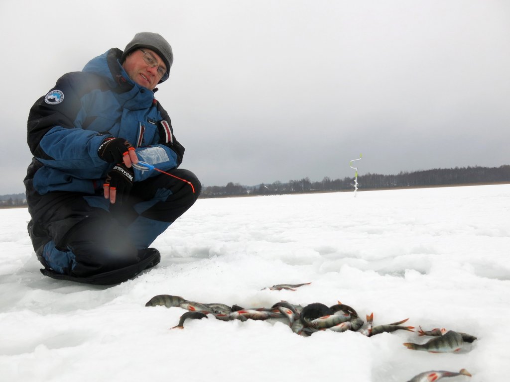 Рыболов ловит окуня со льда