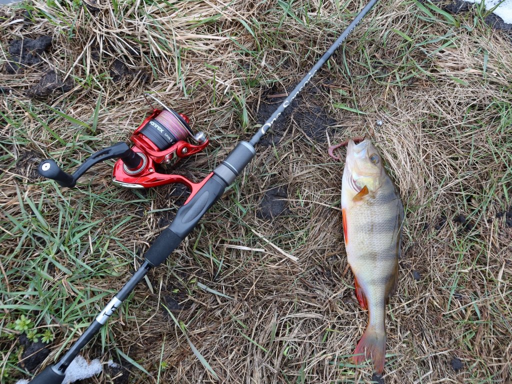 Спиннинг Lucky John Inspirado 9, катушка Lucky John Vanrex Spin 5 и пойманный на них окунь