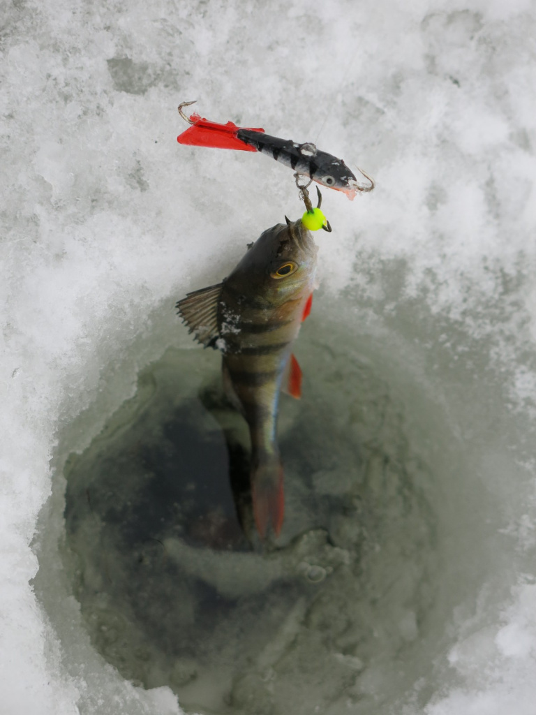 Ловля окуня балансиром Lucky John FIN 12HRT