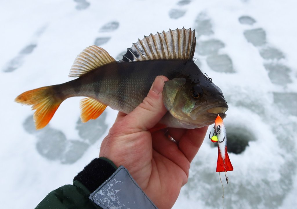 Окунь с балансиром натуральной расцветки