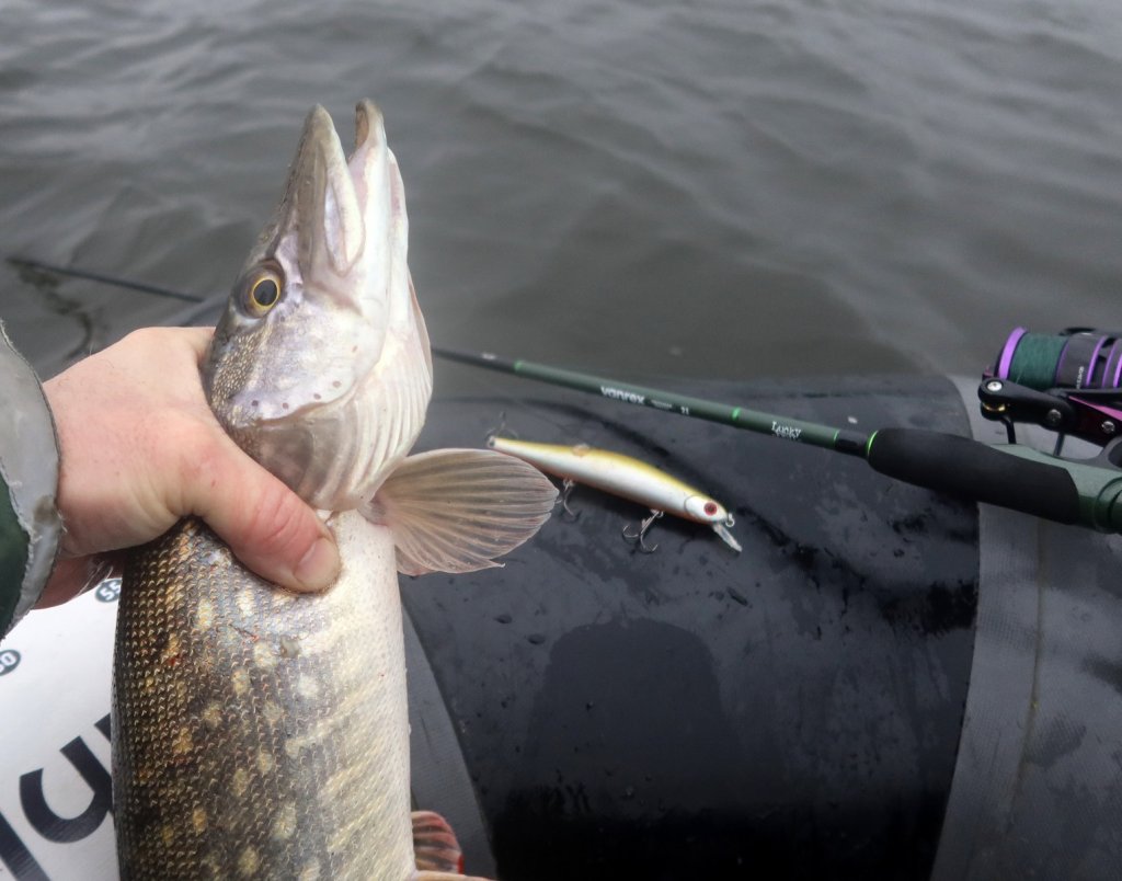 Поимка щуки с лодки на воблер