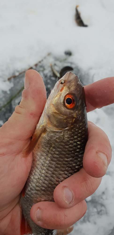 куда отправиться рыболову на перволедье 00002.JPG