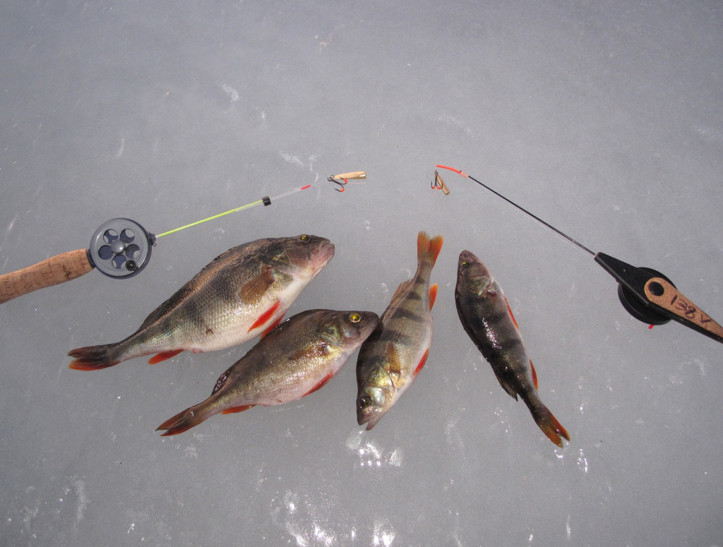 Зимняя рыбалка на балду: основные методы ловли и снасти