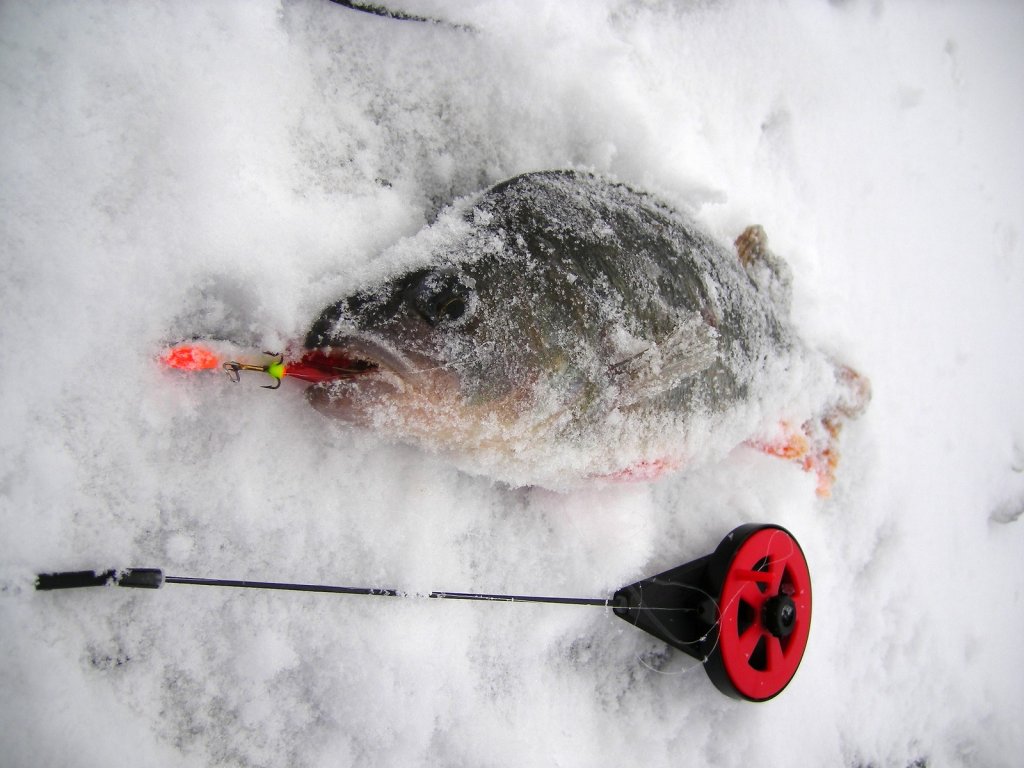 Окунь с балансиром и удочкой