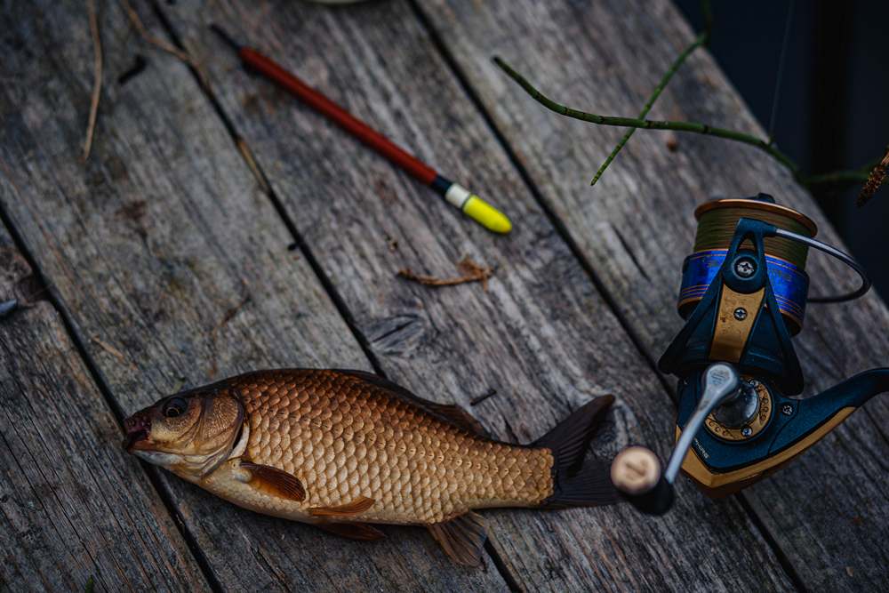 за летним карасем 0003.JPG